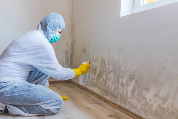 Best Mold Removal Process  in Hiller, PA