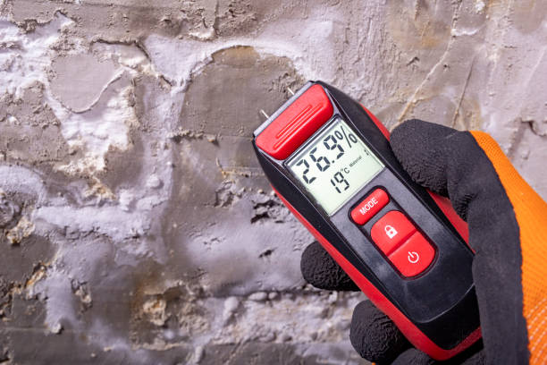 Best Mold Cleaning Services  in Hiller, PA