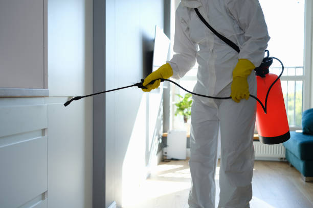 Best Certified Mold Removal  in Hiller, PA