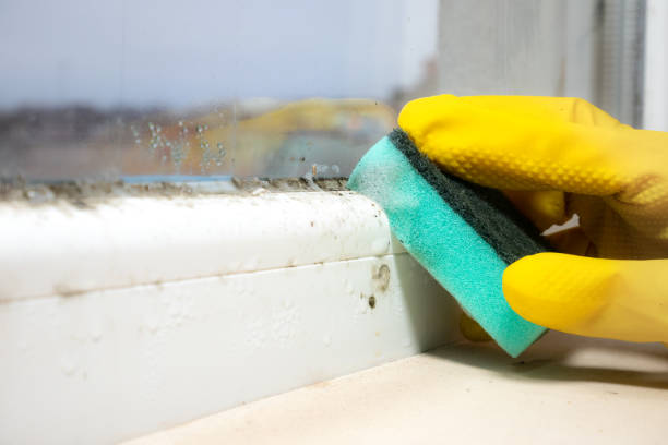 Best Emergency Mold Removal  in Hiller, PA