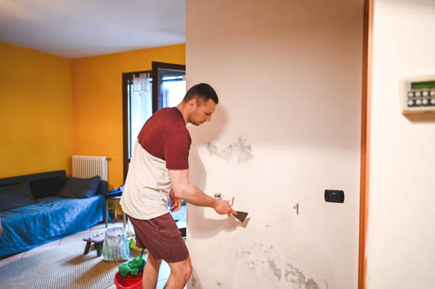 Home Mold Removal in Hiller, PA